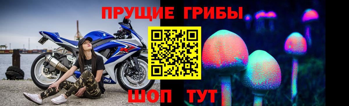 Мурино  где продают   Вход с VPN  Псилоцибиновые грибы Psilocybine cubensis 