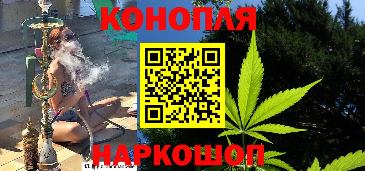 Шишки марихуана план Мурино